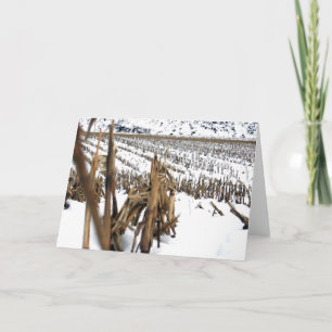 Festividades Cartão de Saudação de Poesia de Campo Corn