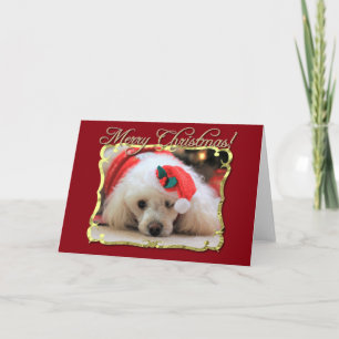 Festividades Cartão de saudação de poodle natalino