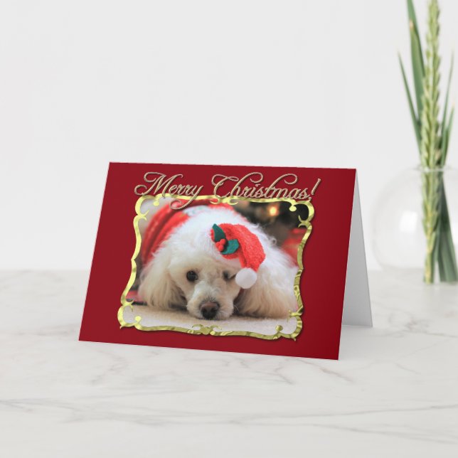 Festividades Cartão de saudação de poodle natalino (Frente)