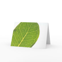 Cartão de Saudação de Textura Verde Rich Fig