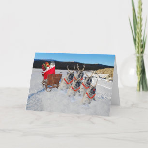 Festividades Cartão de Saudação de Vídeo Pug Sleigh
