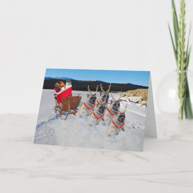 Festividades Cartão de Saudação de Vídeo Pug Sleigh (Frente)