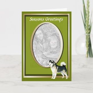 Festividades Cartão de Saudação do Alaskan Malamute Seasons
