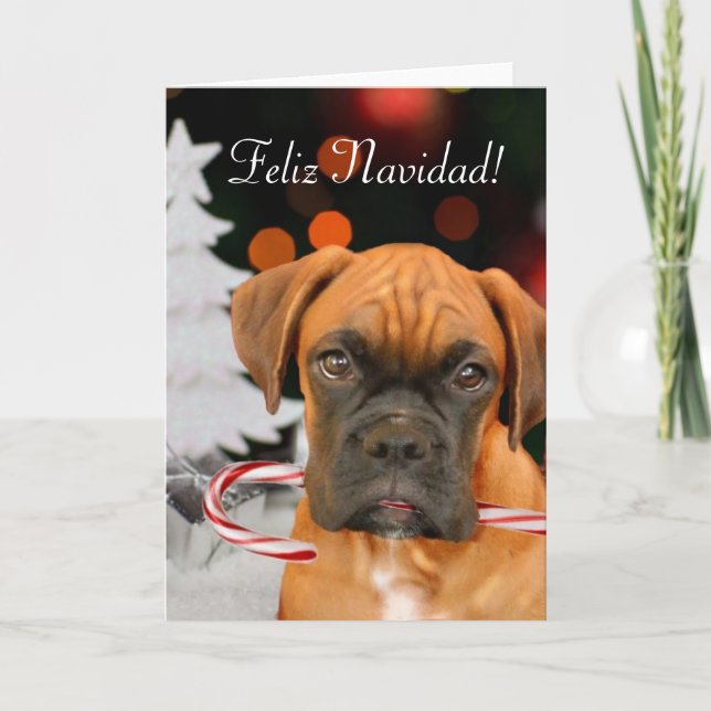 Festividades Cartão de saudação do Feliz Navidad Boxer Dog (Frente)