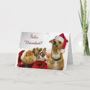 Festividades Cartão de saudação Feliz Navidad Chihuahuas