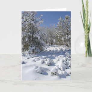 Festividades Cartão de Saudação Floresta Invernal Nevada