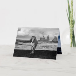 Festividades Cartão de Saudação Mare Horse Branco Islandês