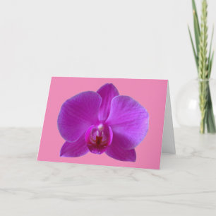 Festividades Cartão de Saudação Orquídea Roxo