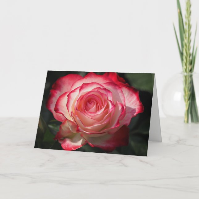 Festividades Cartão de saudação rosa (Frente)