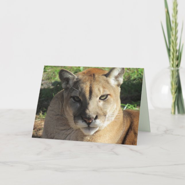 Festividades Cartão de Saudação Stern Cougar (Frente)
