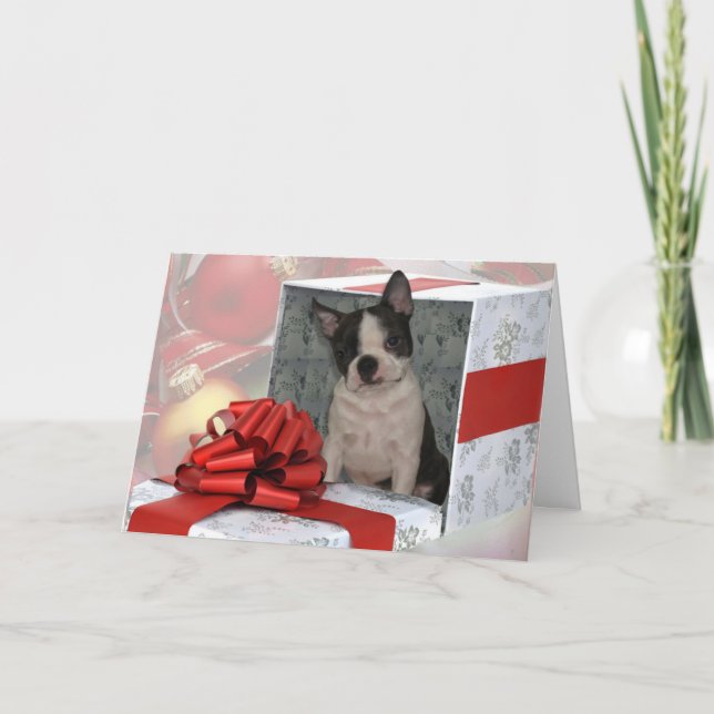 Festividades Cartão de Saudação Terrier de Boston de Natal (Frente)