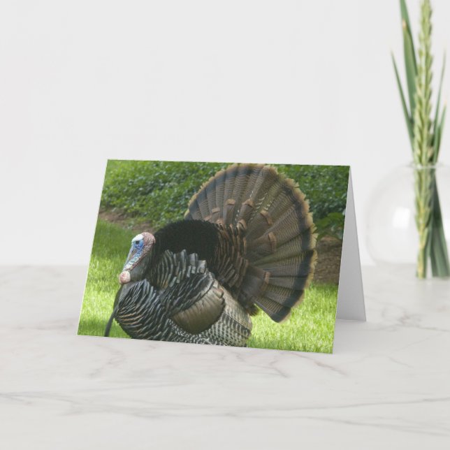 Festividades Cartão de Saudação Wild Turkey (Frente)