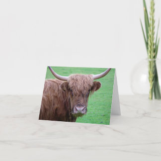 Festividades Cartão de Vaca Highland