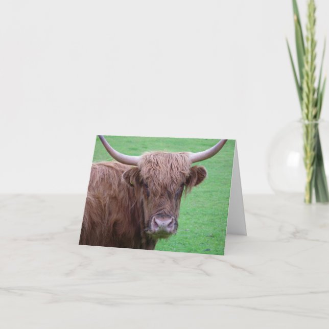 Festividades Cartão de Vaca Highland (Frente)