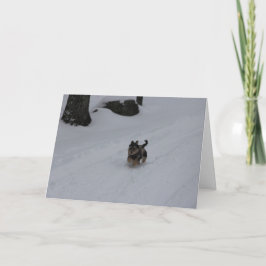 Festividades Cartão determinado galhardo do filhote de cachorro