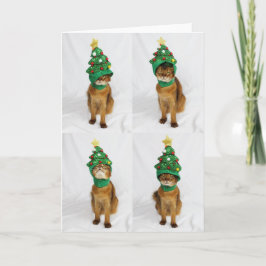 Festividades Cartão do chapéu da árvore de Natal do gato