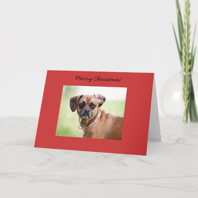 Festividades Cartão do Feliz Natal de Puggle (Frente)