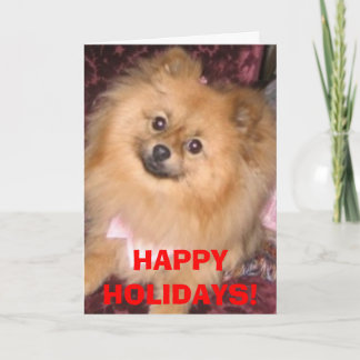 Festividades Cartão do feriado de Pomeranian