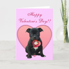 Festividades Cartão do filhote de cachorro de Pitbull do feliz