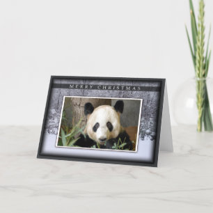 Festividades Cartão do Natal do urso de panda gigante