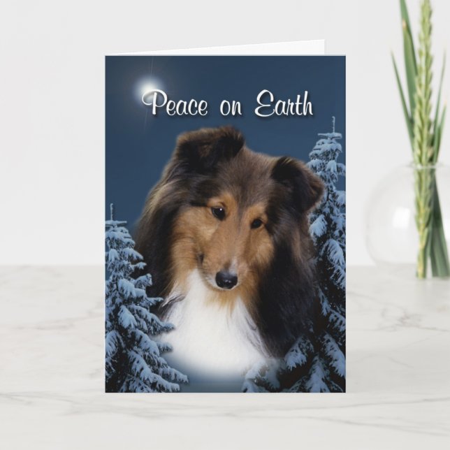 Festividades Cartão do Xmas de Sheltie da paz (Frente)