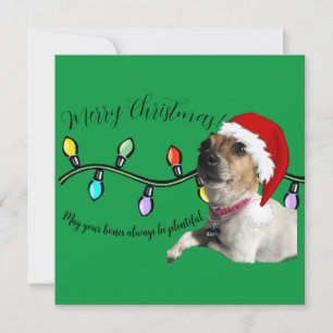Festividades Cartão doggo de Natal