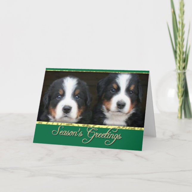 Festividades Cartão dos cães de montanha de Bernese dos (Frente)