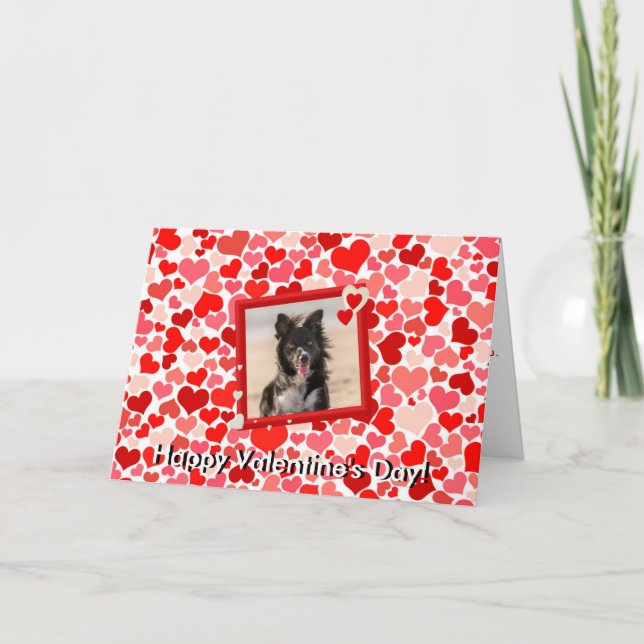 Festividades Cartão dos corações do cão de border collie dos (Frente)