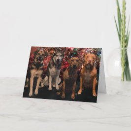 Festividades Cartão dos filhotes de cachorro do Feliz Natal