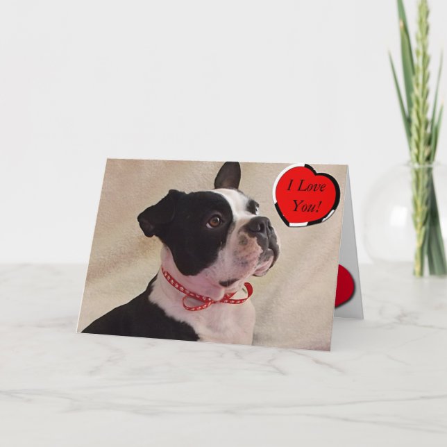 Festividades Cartão dos namorados de Boston Terrier (Frente)