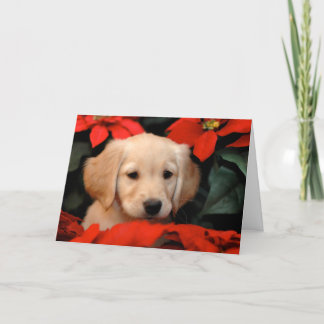 Festividades Cartão dourado do filhote de cachorro e de Natal