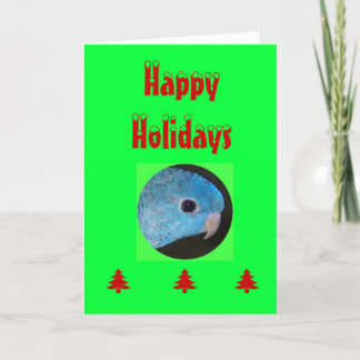 Festividades Cartão Feliz de Férias, linnie Parakeet