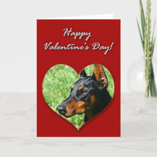 Festividades Cartão Feliz dia de os namorados Doberman Pinscher