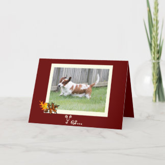 Festividades Cartão feliz w/Basset da acção de graças & tarte