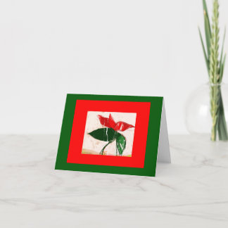 Festividades Cartão Flor de Natal