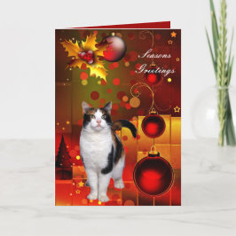 Festividades Cartão Gato de Natal