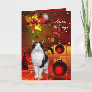 Festividades Cartão Gato de Natal
