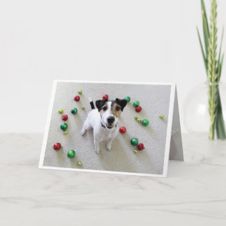 Festividades Cartão lanç de Jack Russell Terrier dos ornamento