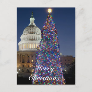 Festividades Cartão postal da árvore de Natal do Capitólio dos 