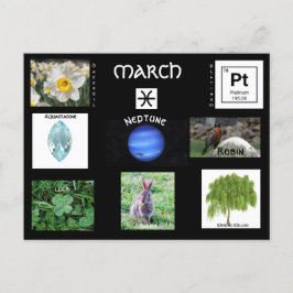 Festividades Cartão postal de aniversário para Peixes de março