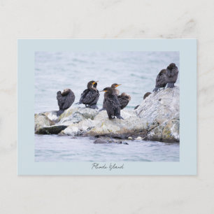 Festividades Cartão postal de aves corvo-marinho Rhode Island 