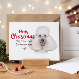 Festividades Cartão postal de cachorro de festa de poodle alegr