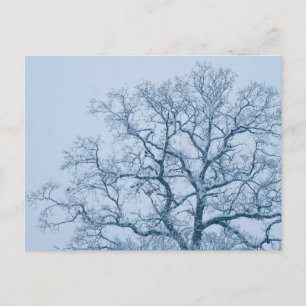 Festividades Cartão postal de Carvalho na Neve