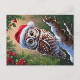 Festividades Cartão postal de coruja com chapéu de Papai Noel