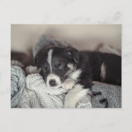 Festividades Cartão postal de férias com cachorrinho dormindo