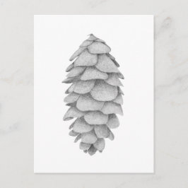 Festividades Cartão postal de férias White Spruce Cone