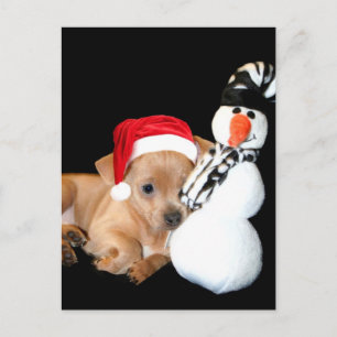 Festividades Cartão postal de filhote Chihuahua