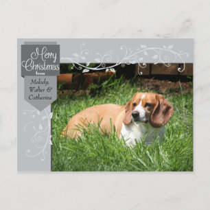 Festividades Cartão postal de foto de Natal Silver Tab e Flouri