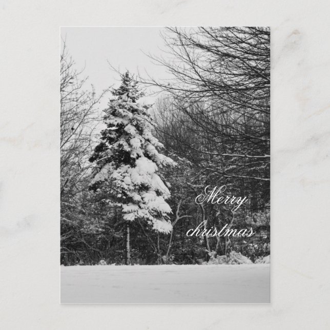 Festividades Cartão postal de inverno (Frente)