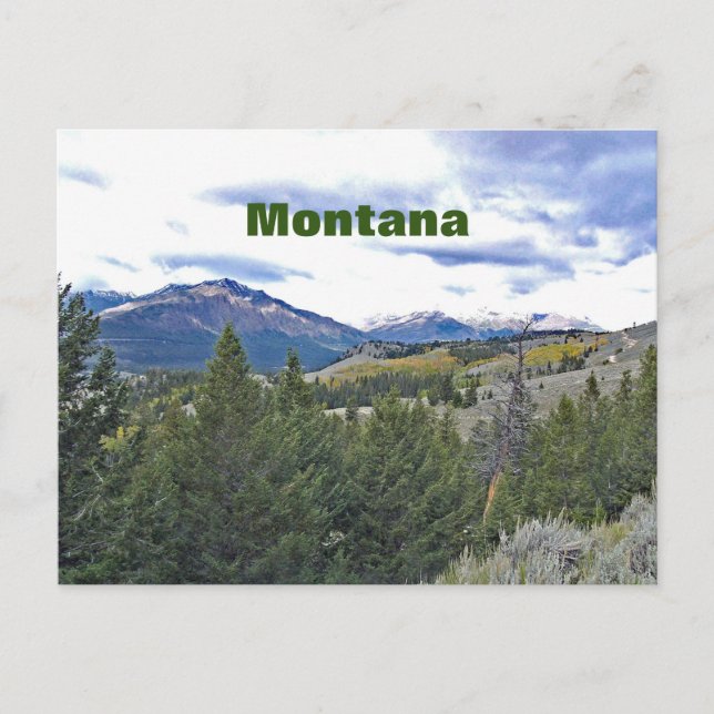 Festividades Cartão postal de Montana (Frente)